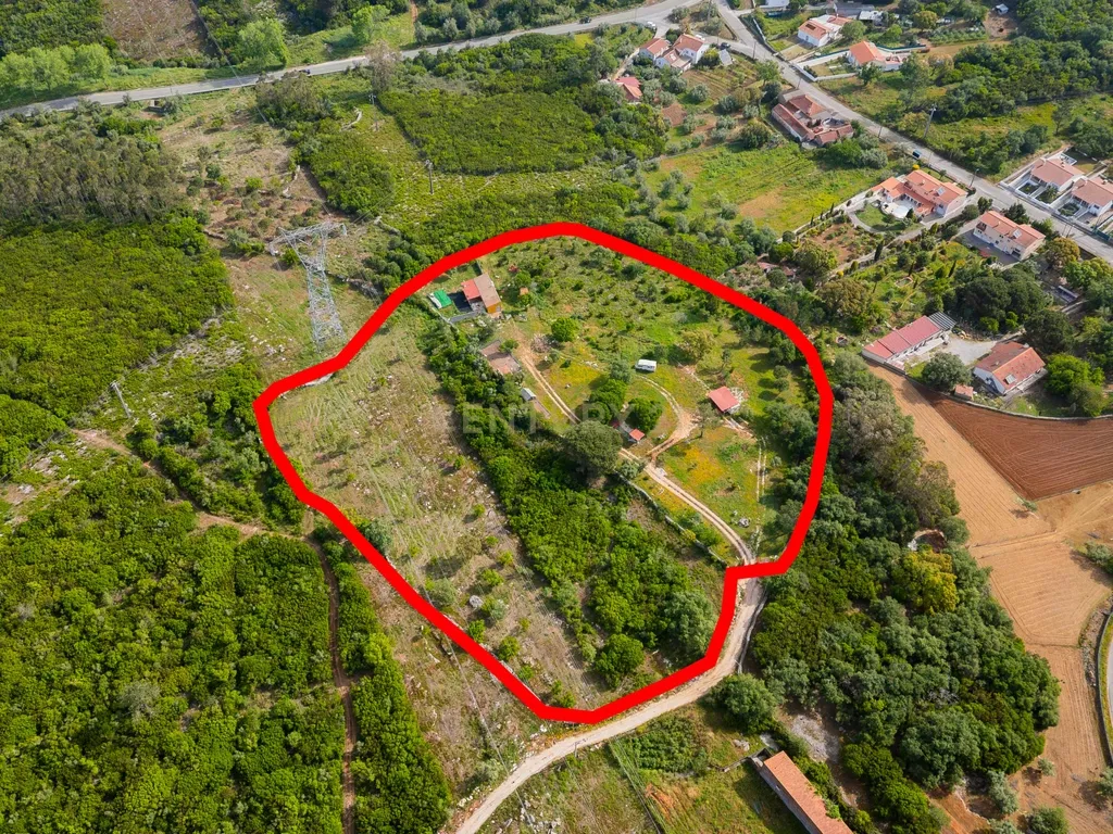 Quinta com habitação - Alcobaça - Image 8