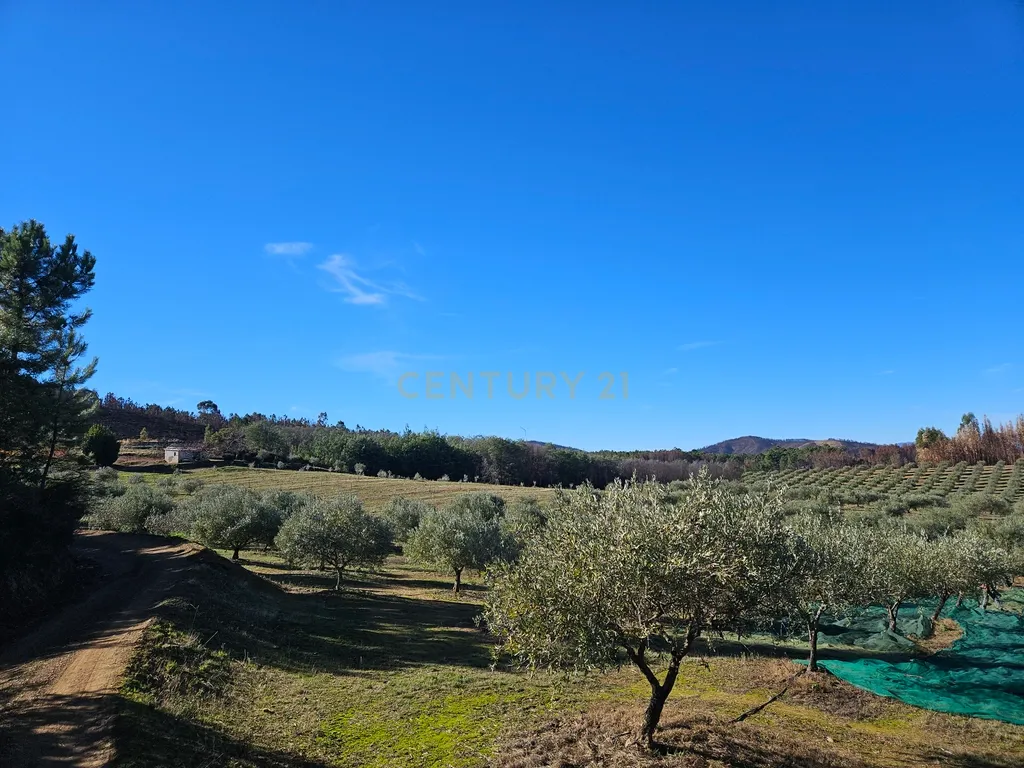 Quinta de Excelência Agrícola na Região Premium do Fundão: 32 ha de Alta Produtividade - Image 29