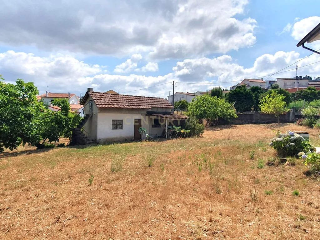 Moradia Isolada I Terreno I São Martinho do Bispo - Image 7