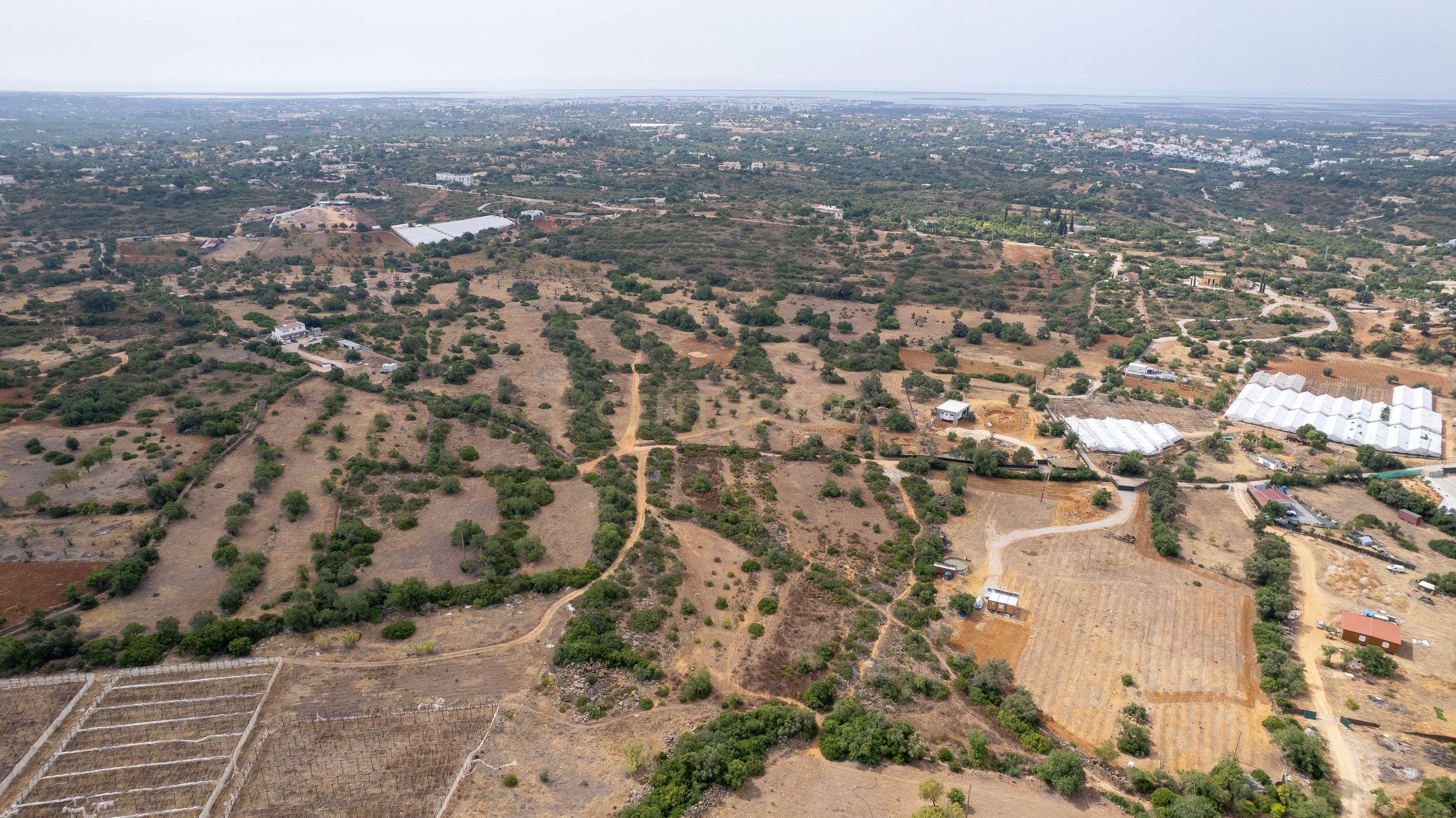 Fotografia 11 de Terreno Rústico de 3.650 m² entre Pechão e Estoi