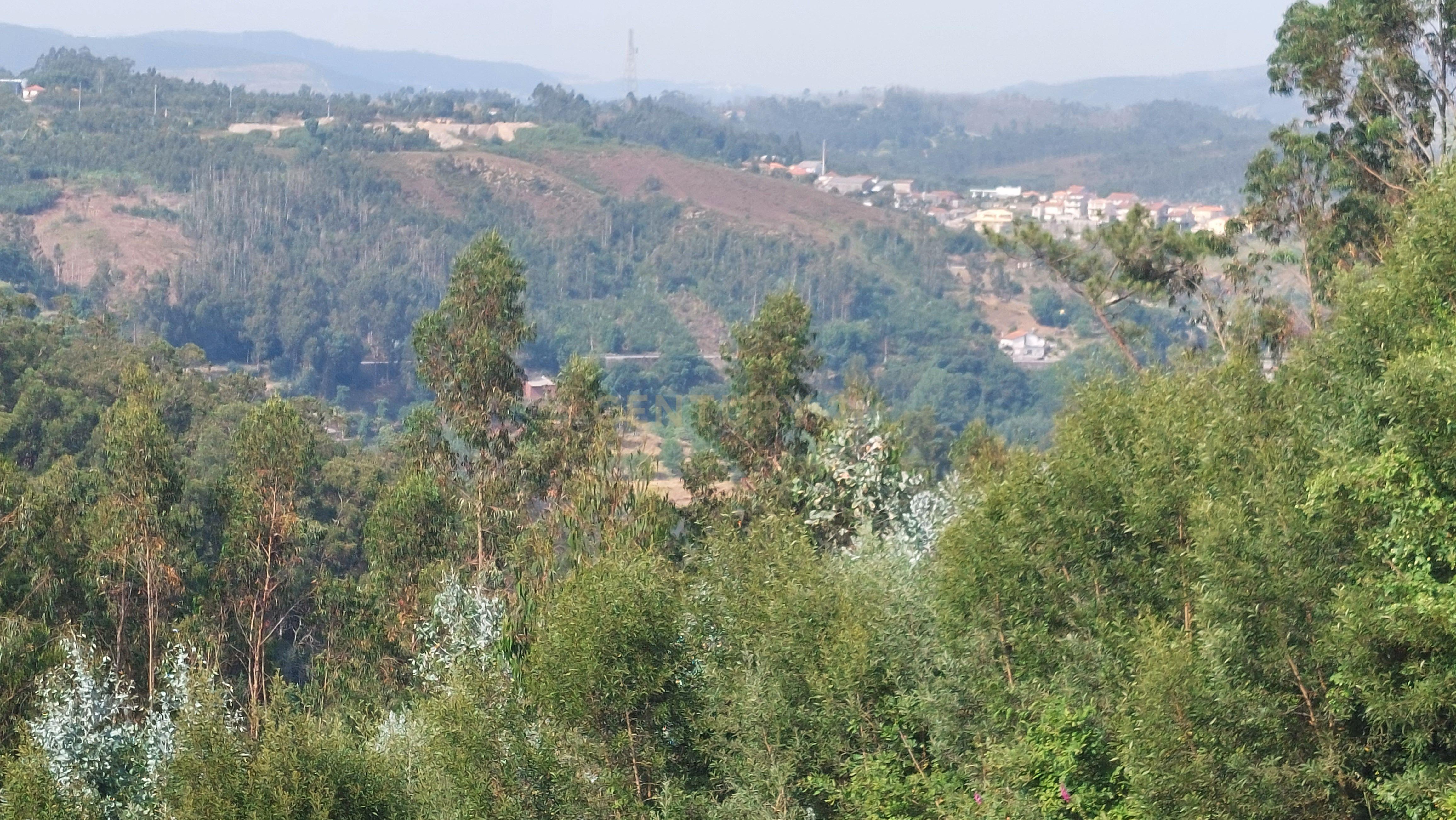 Terreno Rustico em Crestuma, Vila Nova de Gaia - Image 11