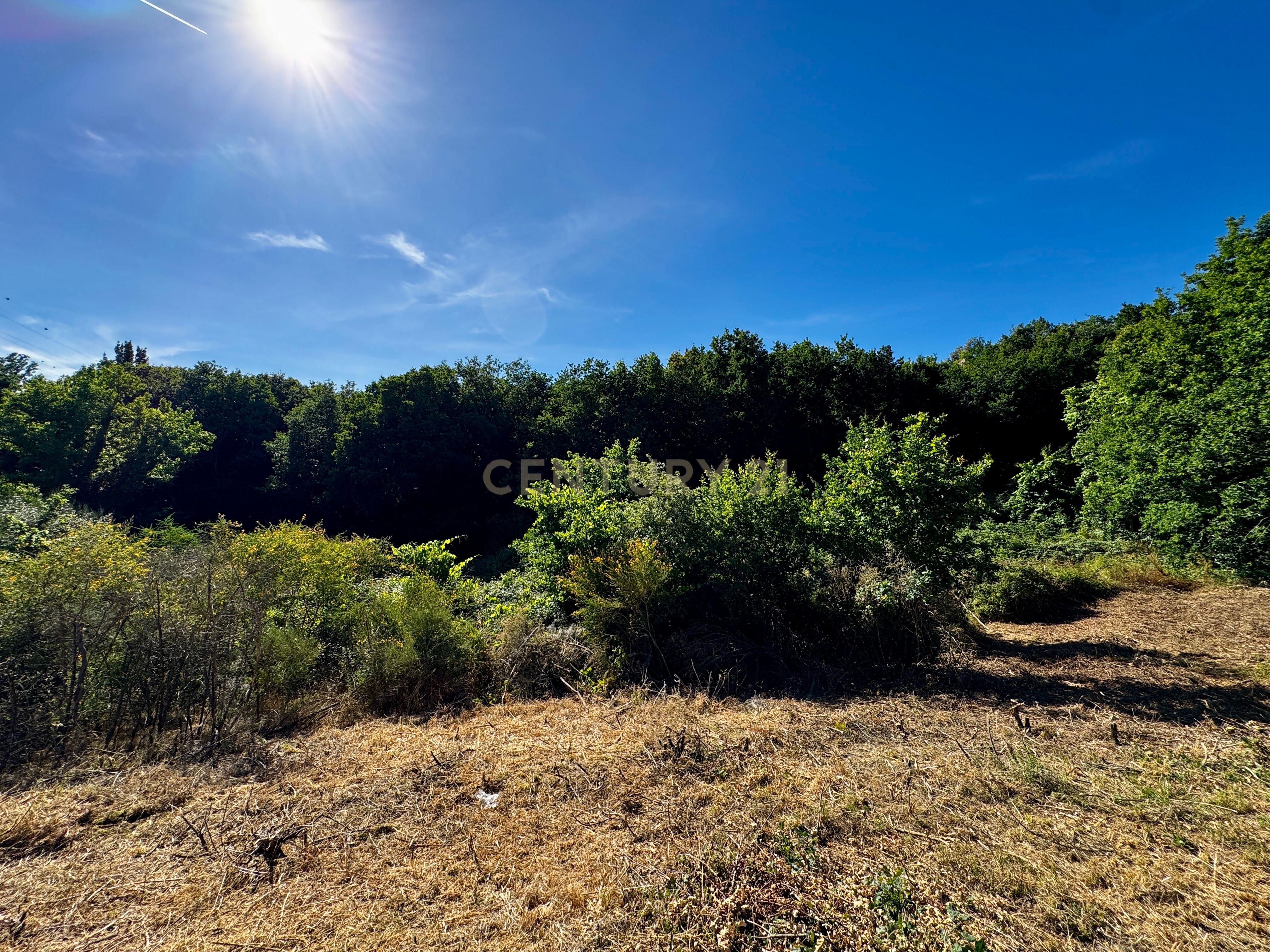 Fotografia 9 de Terreno com 2,6519 hectares, situado em Abragão, Penafiel