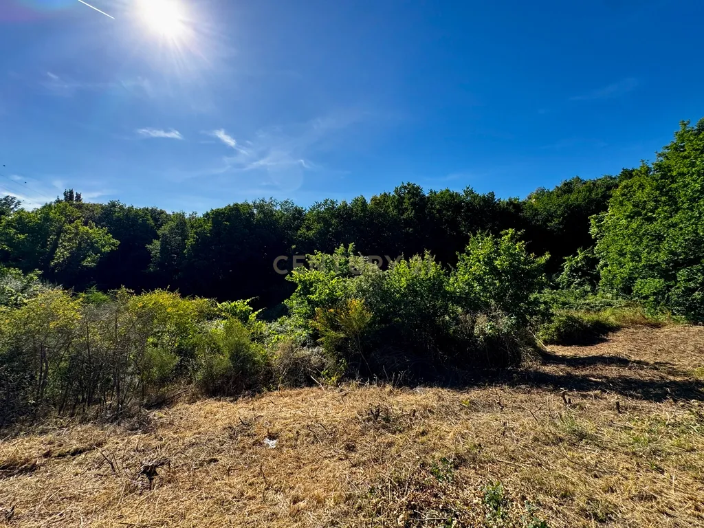 Terreno com 2,6519 hectares, situado em Abragão, Penafiel - Image 9