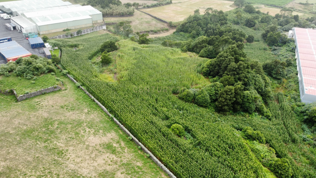 🏞️ Terreno com 26.800 m² nas Giestas – Ribeira Grande - Image 12