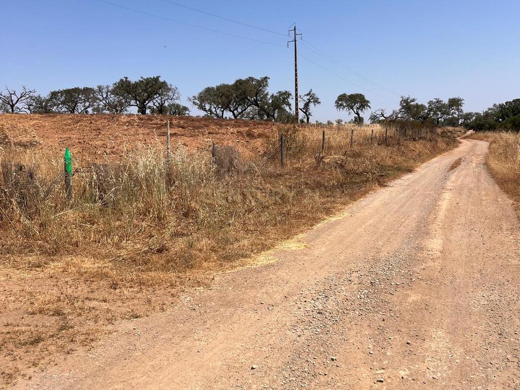 Terreno Rústico com Potencial Agrícola e de Lazer, Ourique, Beja - Image 10