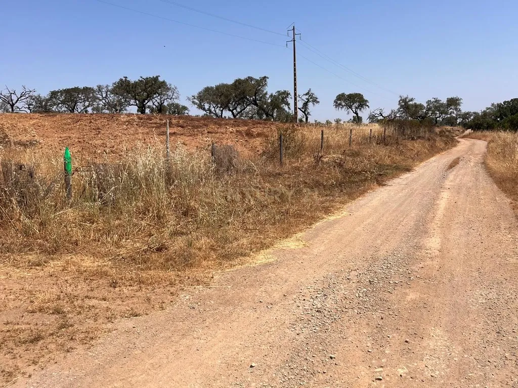 Terreno Rústico com Potencial Agrícola e de Lazer, Ourique, Beja - Image 10