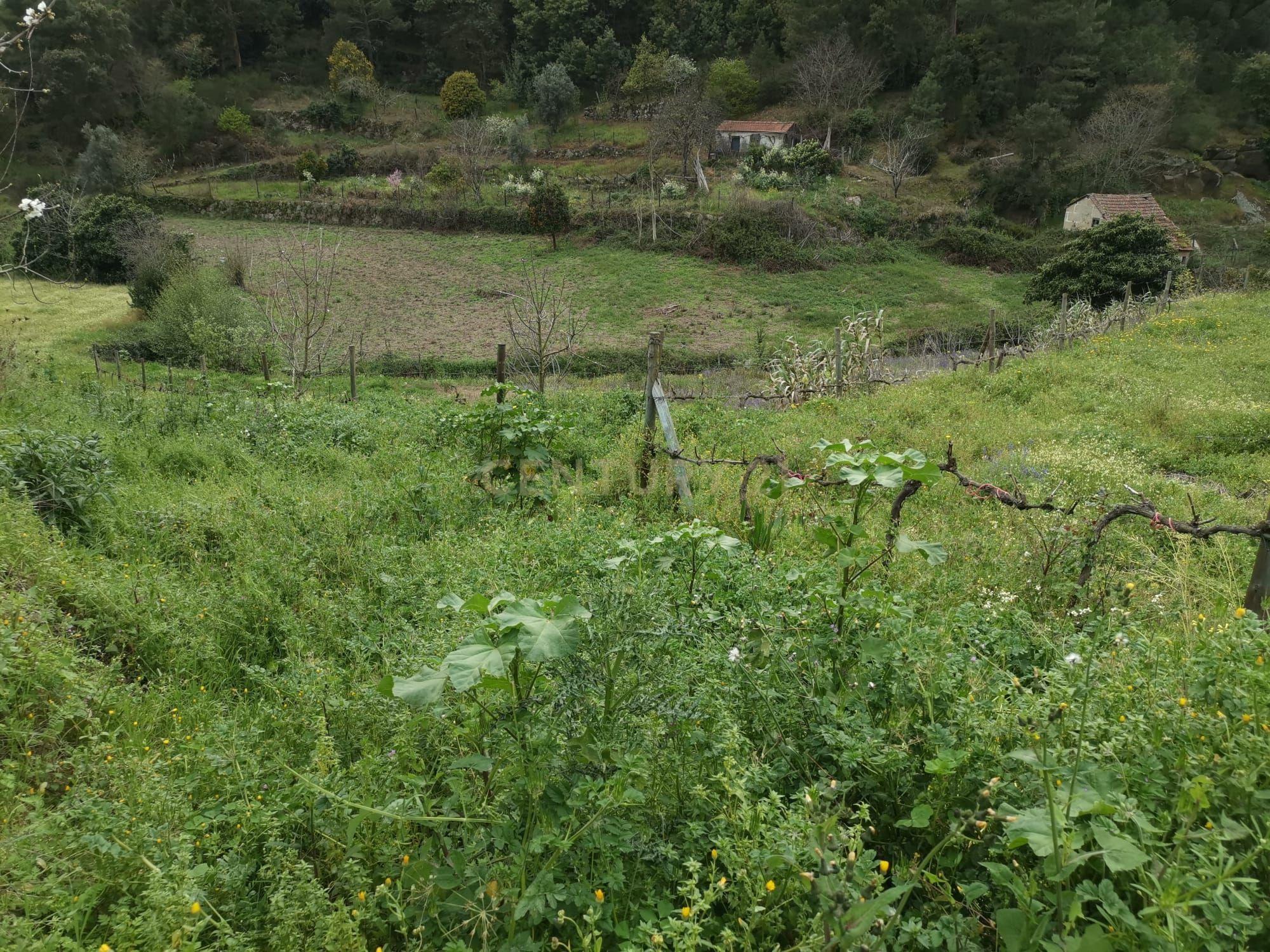 Terreno agrícola com àgua e viabilidade de construção em Granja, S. Tomé de Covelas, Baião, perto do do rio Douro, Porto - Image 25