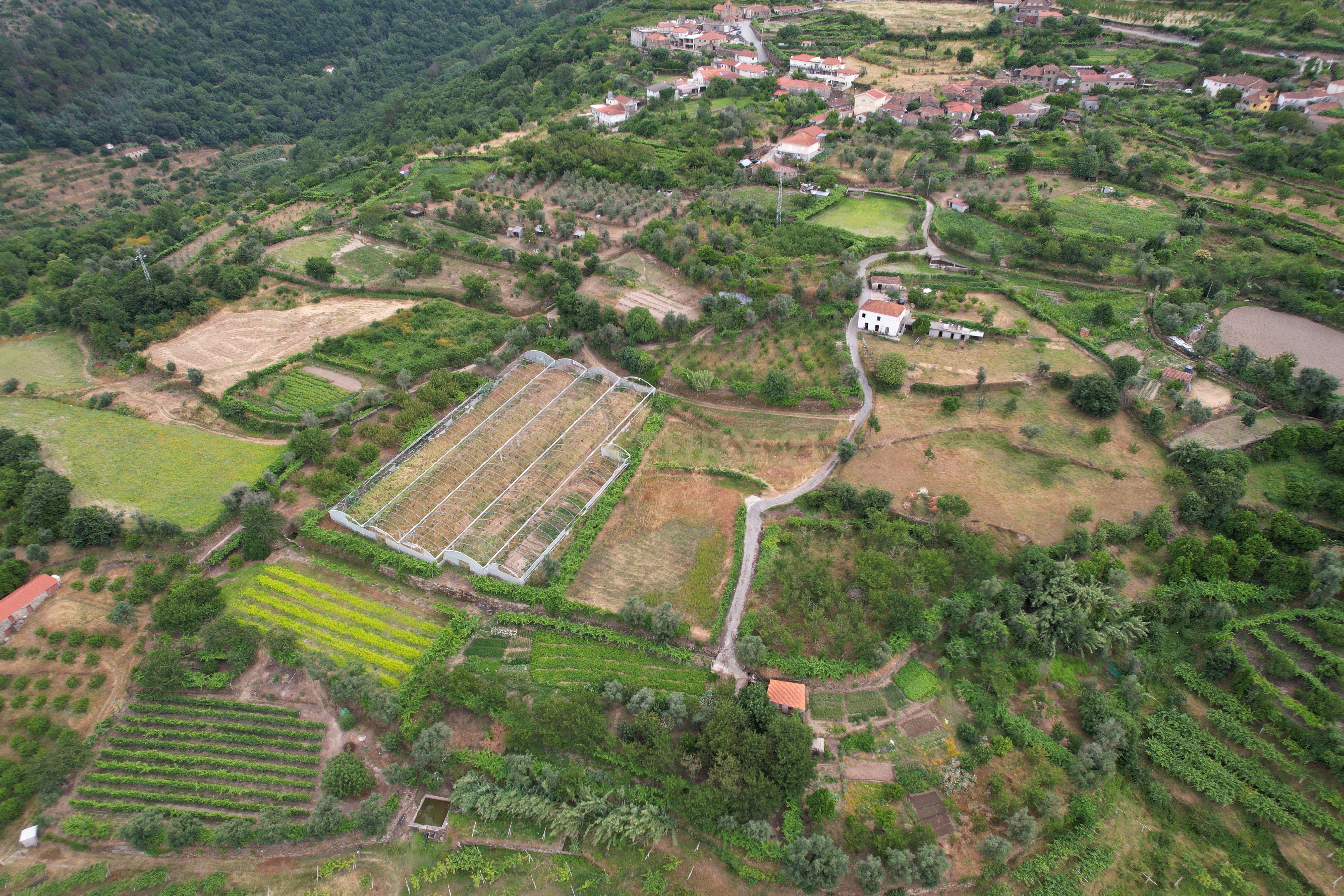 Fotografia 12 de Quinta em Miomães, Resende | Um refúgio rural com cerca de 4 hectares de potencial