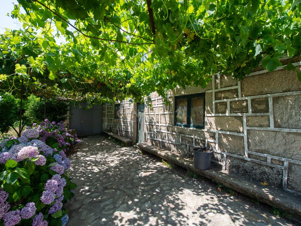 Quinta Encantadora T4 em Tabuaço, Viseu - Image 4