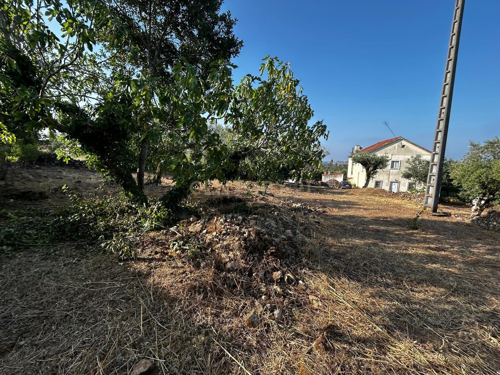 Fotografia 6 de Terreno com ruínas Recuperar em Além da Ribeira, Tomar