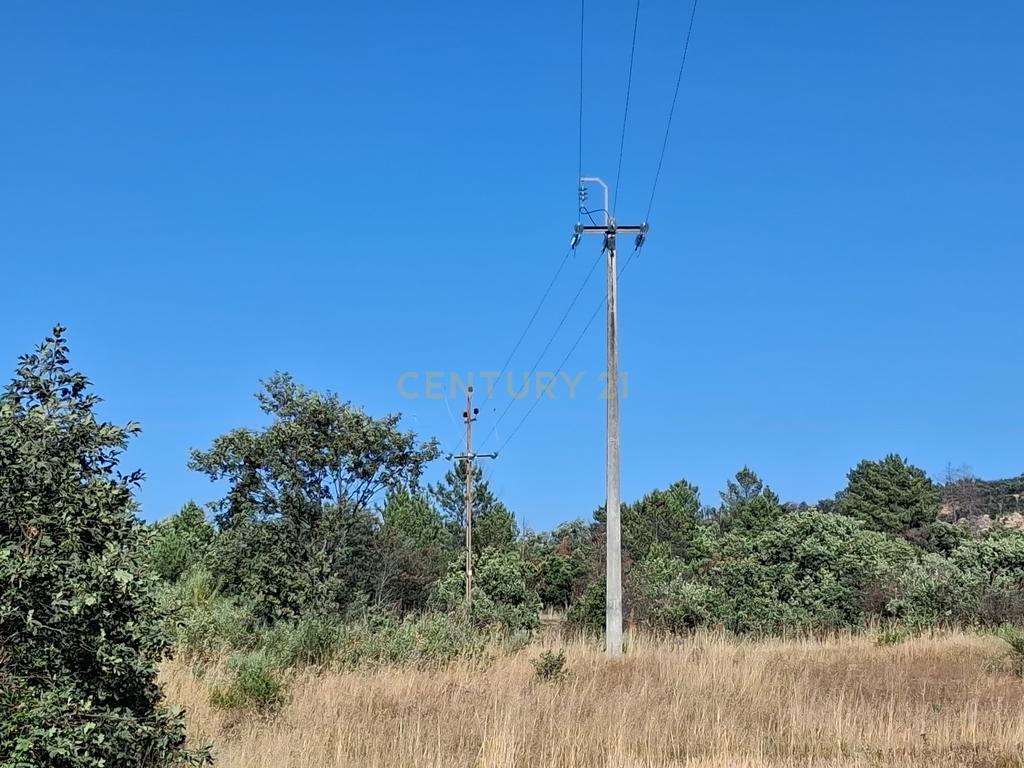 Terreno Rústico, 3800m2 em Aldeia do Bispo, Penamacor - Image 2