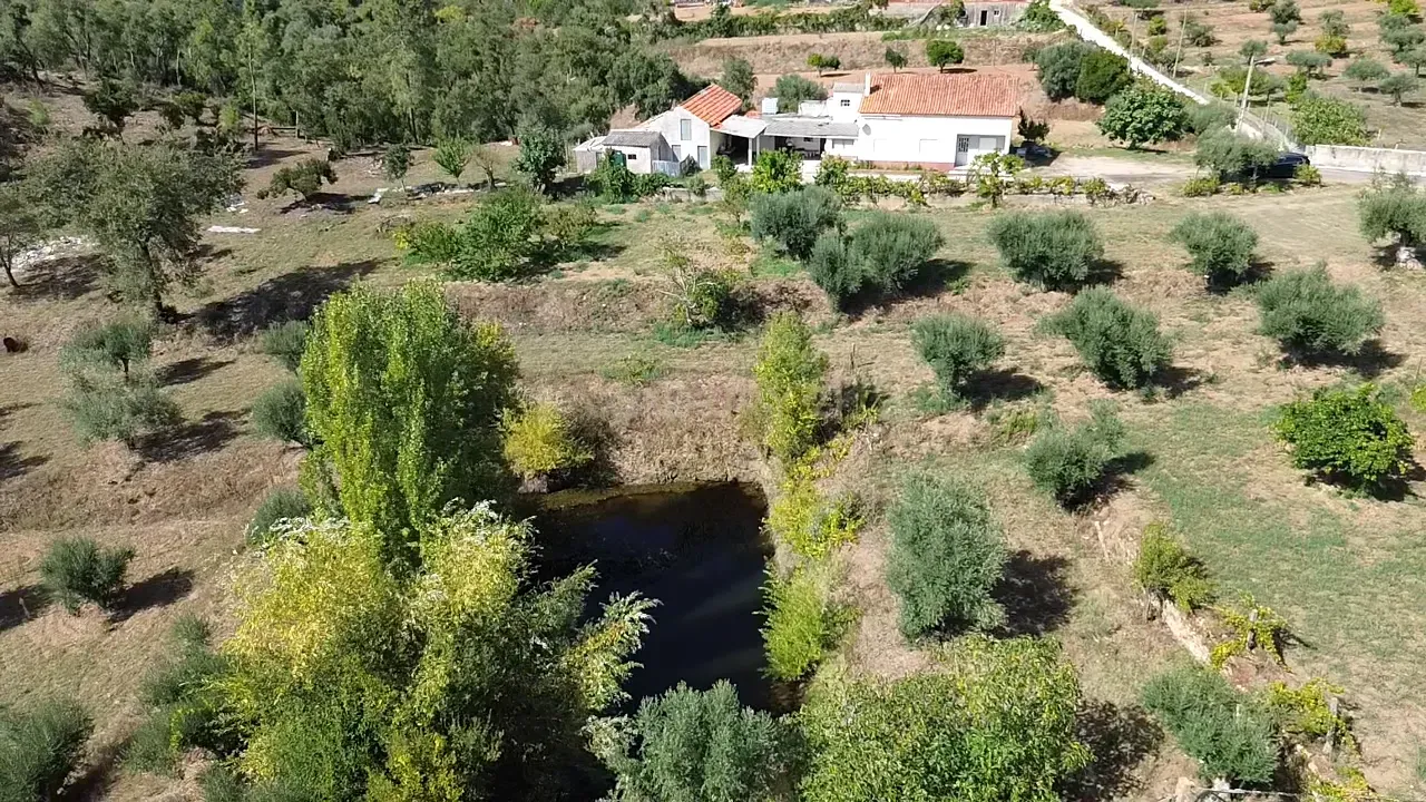 Fotografia 5 de Encantadora Moradia em Casais e Alviobeira, Tomar