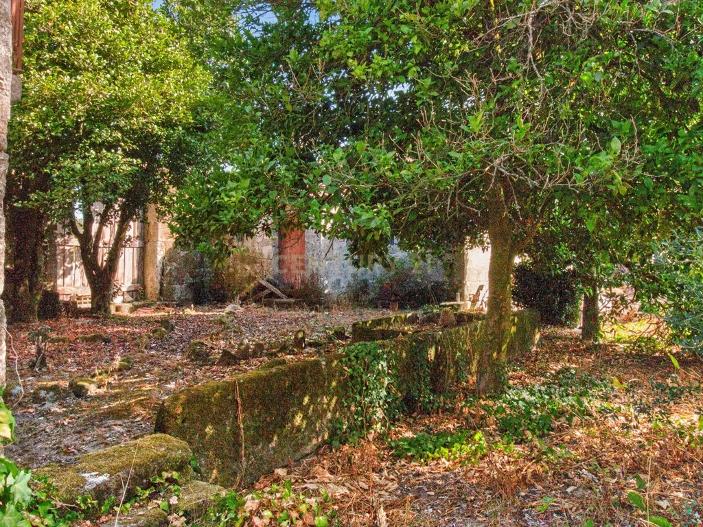 Quinta de Verim – 22.000 m² de história, natureza e potencial - Image 31