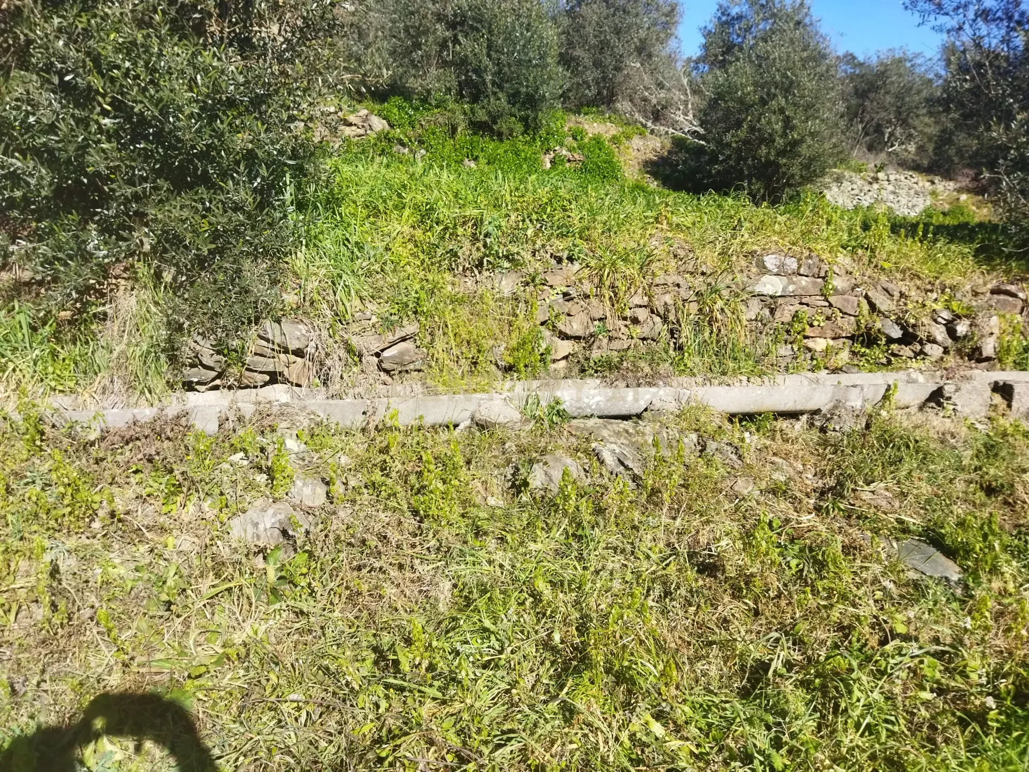 Quintinha em Sesmo, Junto á praia fluvial, Sarzedas - Image 15