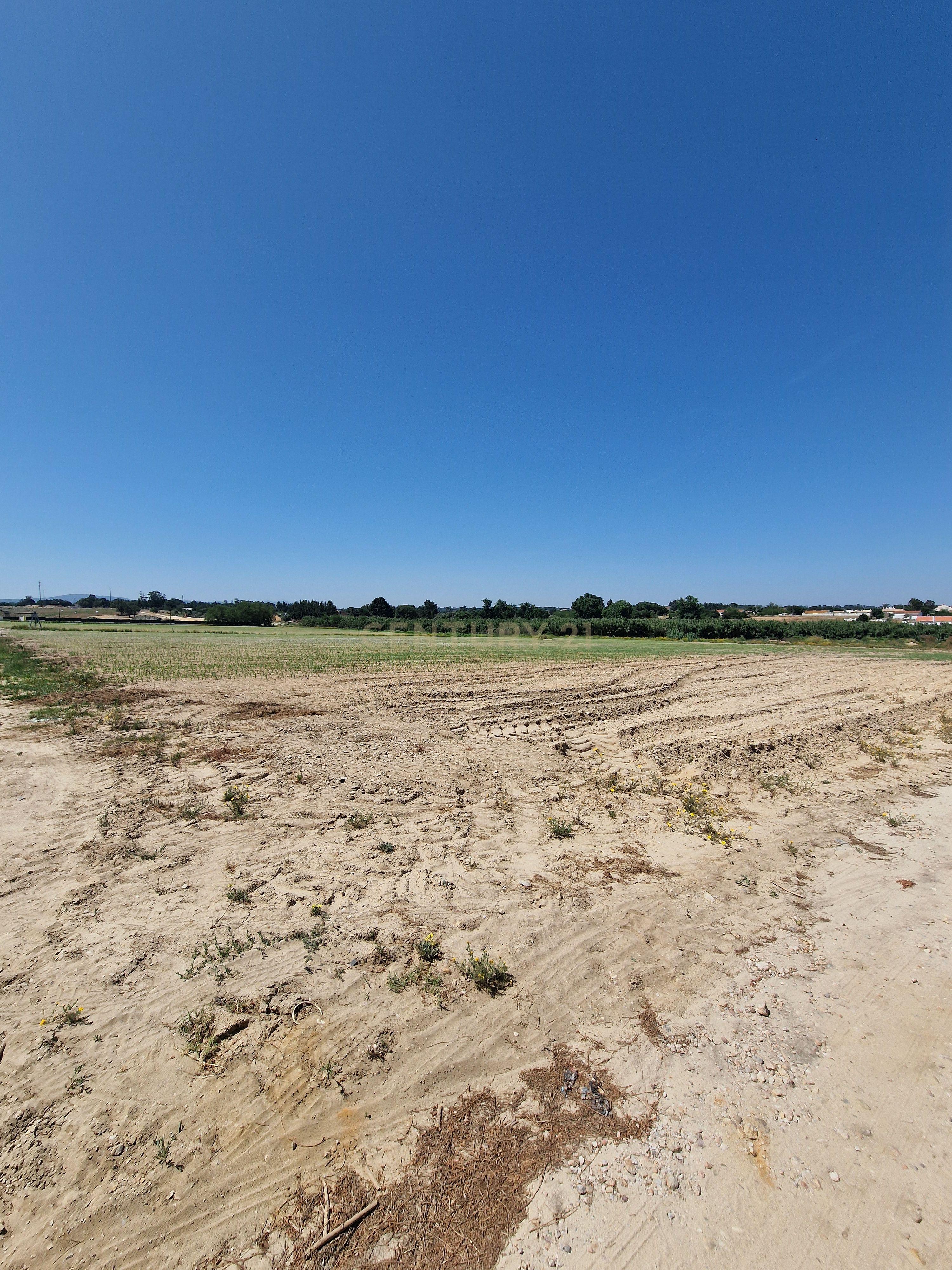 Fotografia 5 de Terreno Rústico com 24.850 m² em Pinhal Novo, Palmela