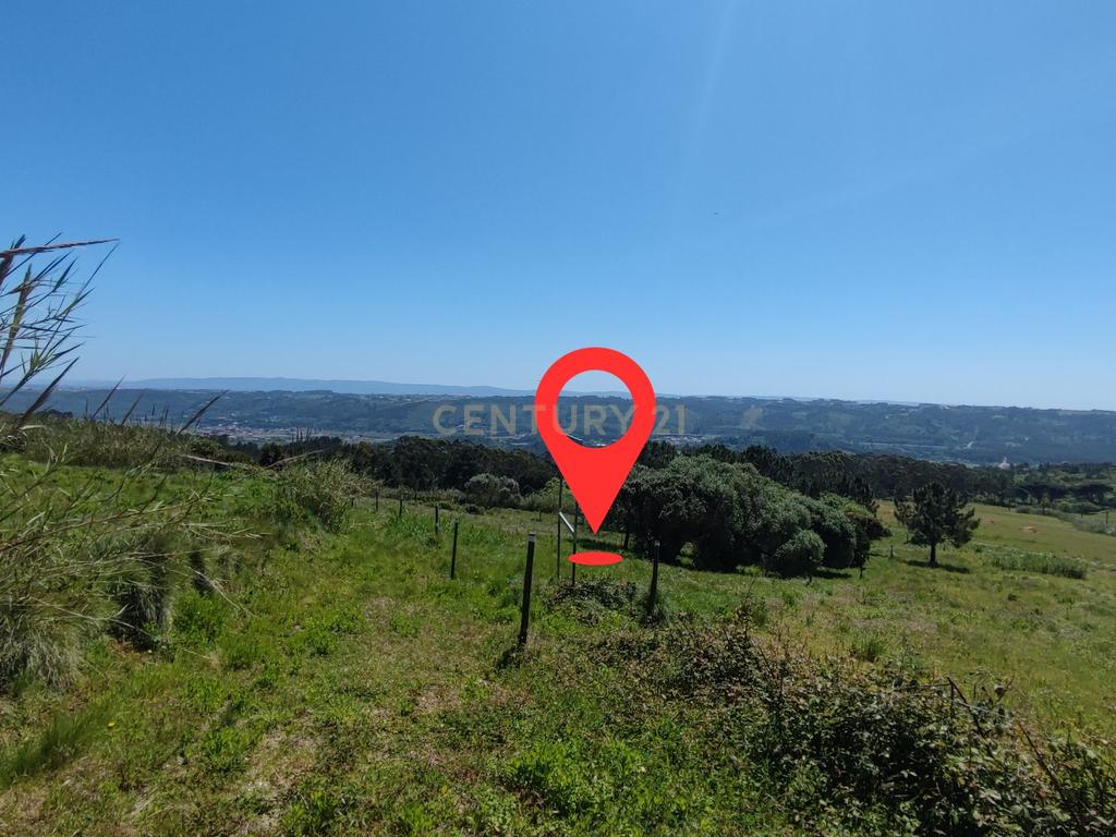 Terreno na Nazaré - Image 4
