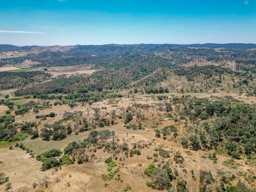 Herdade com 59,225 ha , 687m2 urbano, nascente de água, em Colos, Odemira - Image 23