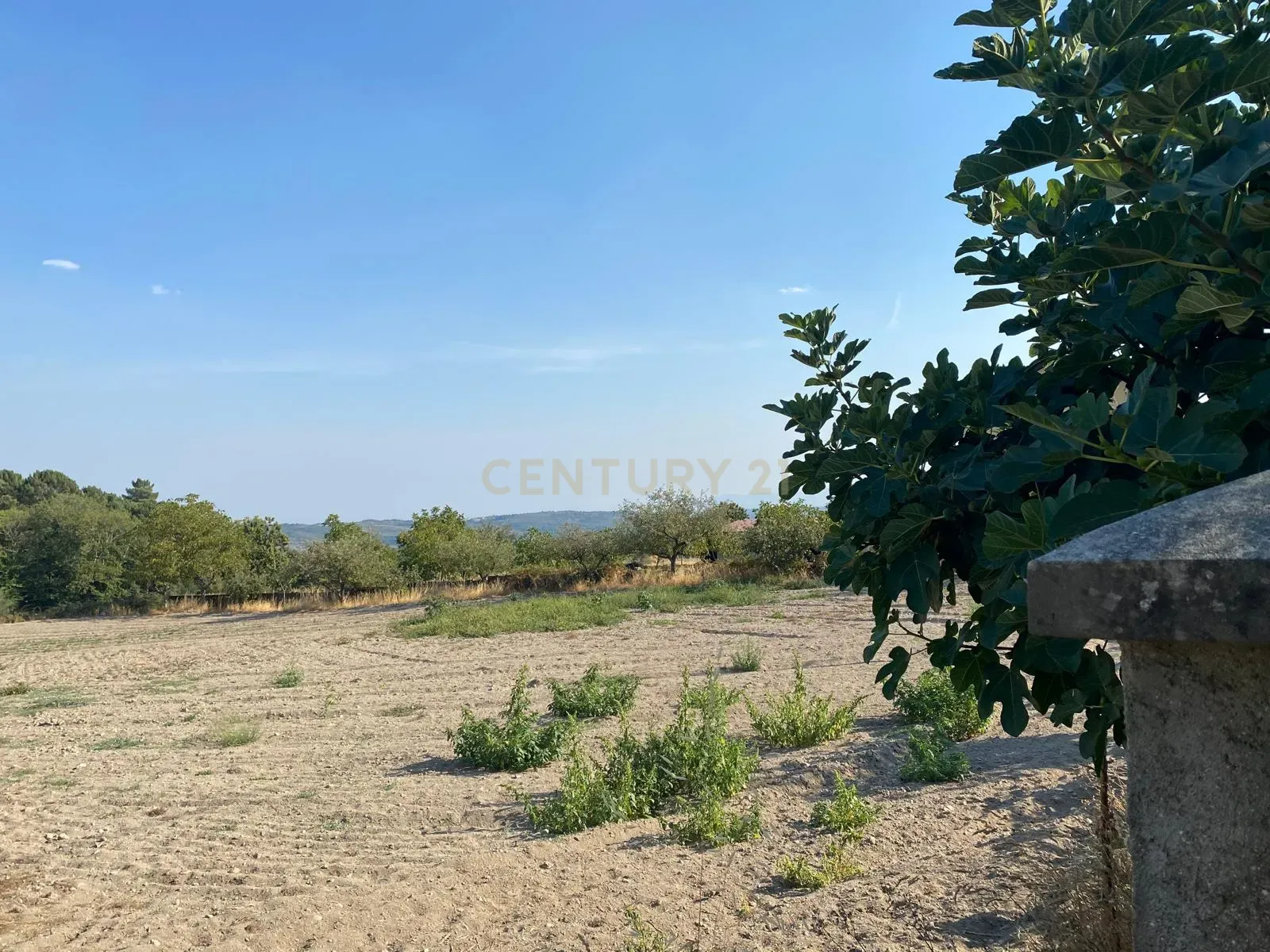 Fotografia 3 de Terreno para construção em Bobadela -  Chaves