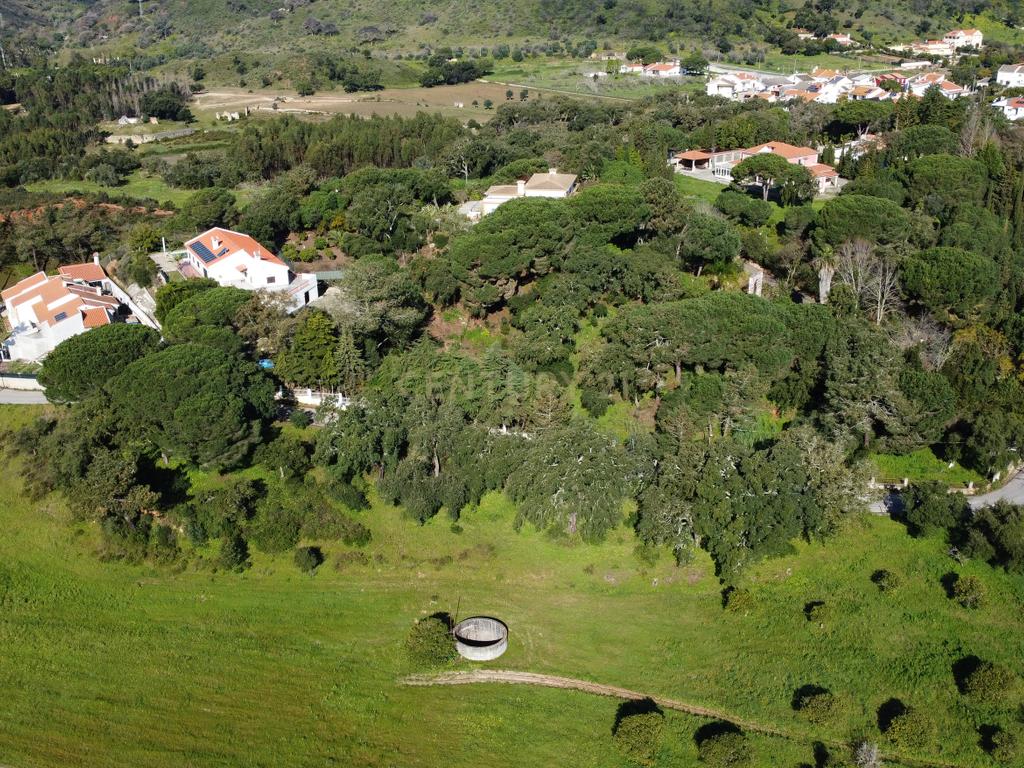 🏡 Terreno para Construção – 2.746 m² | Oportunidade Única Perto de Setúbal! 🌿 - Image 34