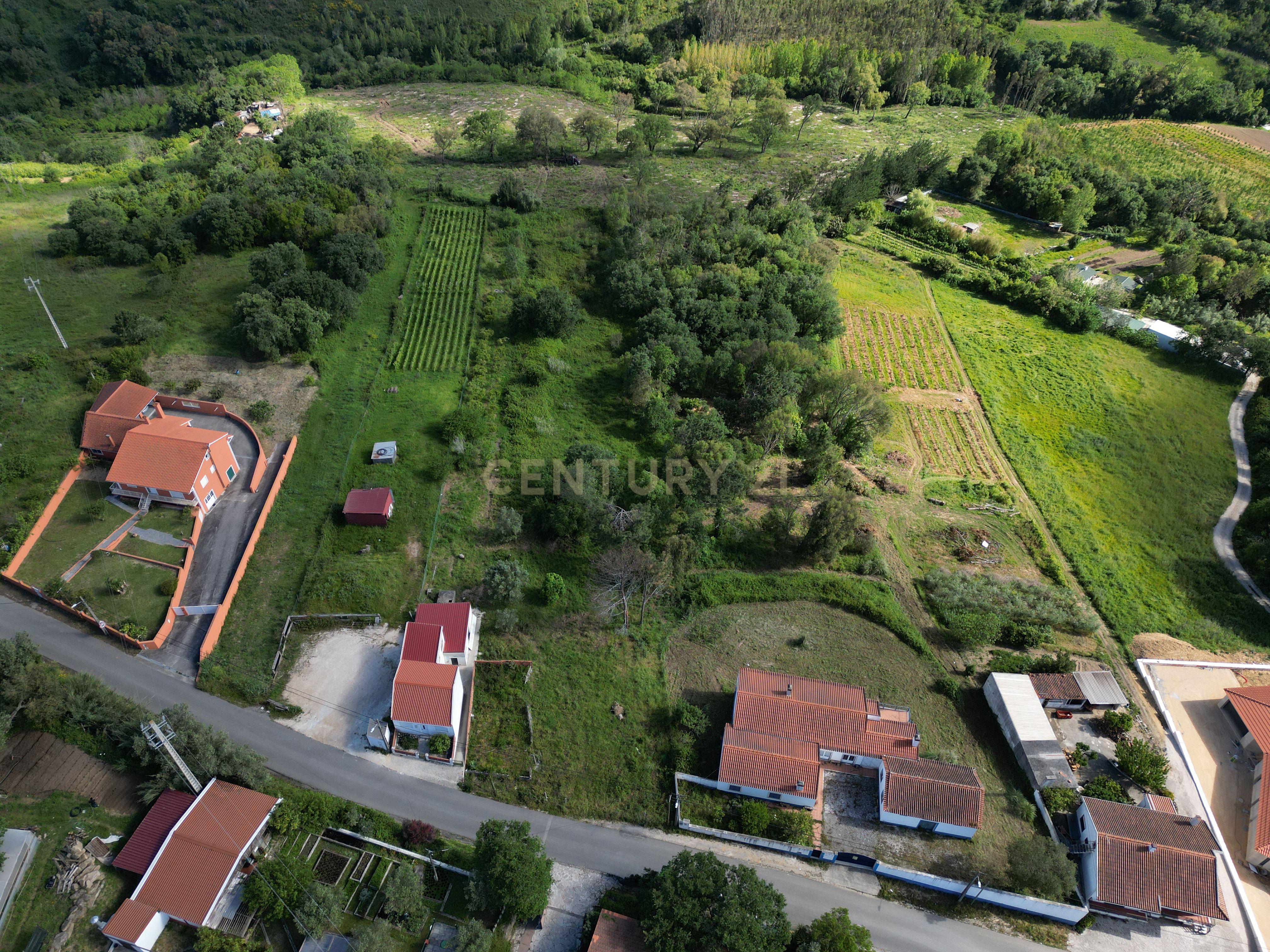 Fotografia 7 de Terreno para construção - Bemposta, Maiorga, Alcobaça