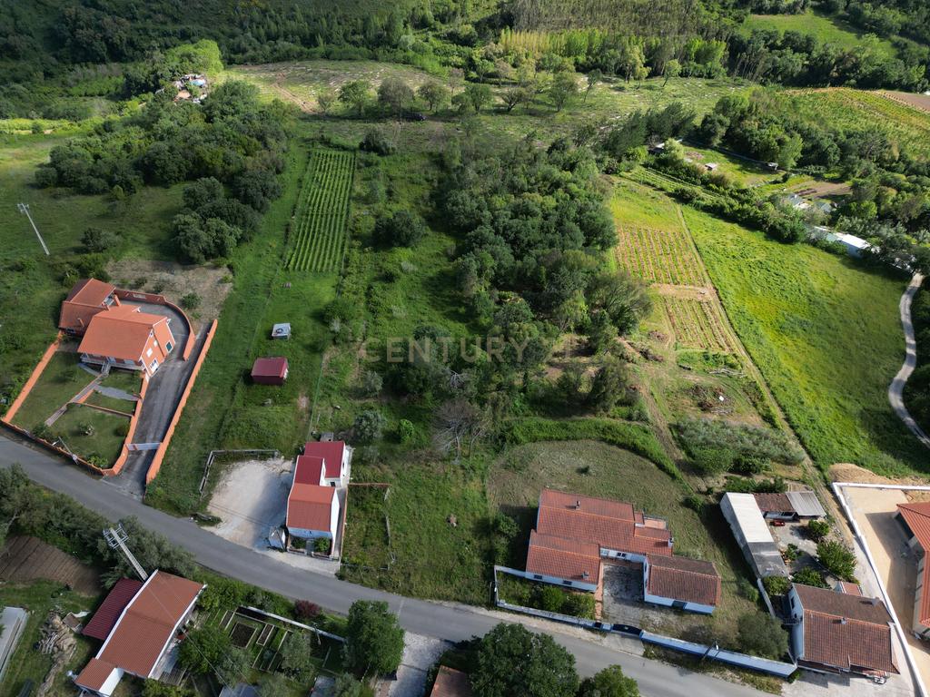Terreno para construção - Bemposta, Maiorga, Alcobaça - Image 7