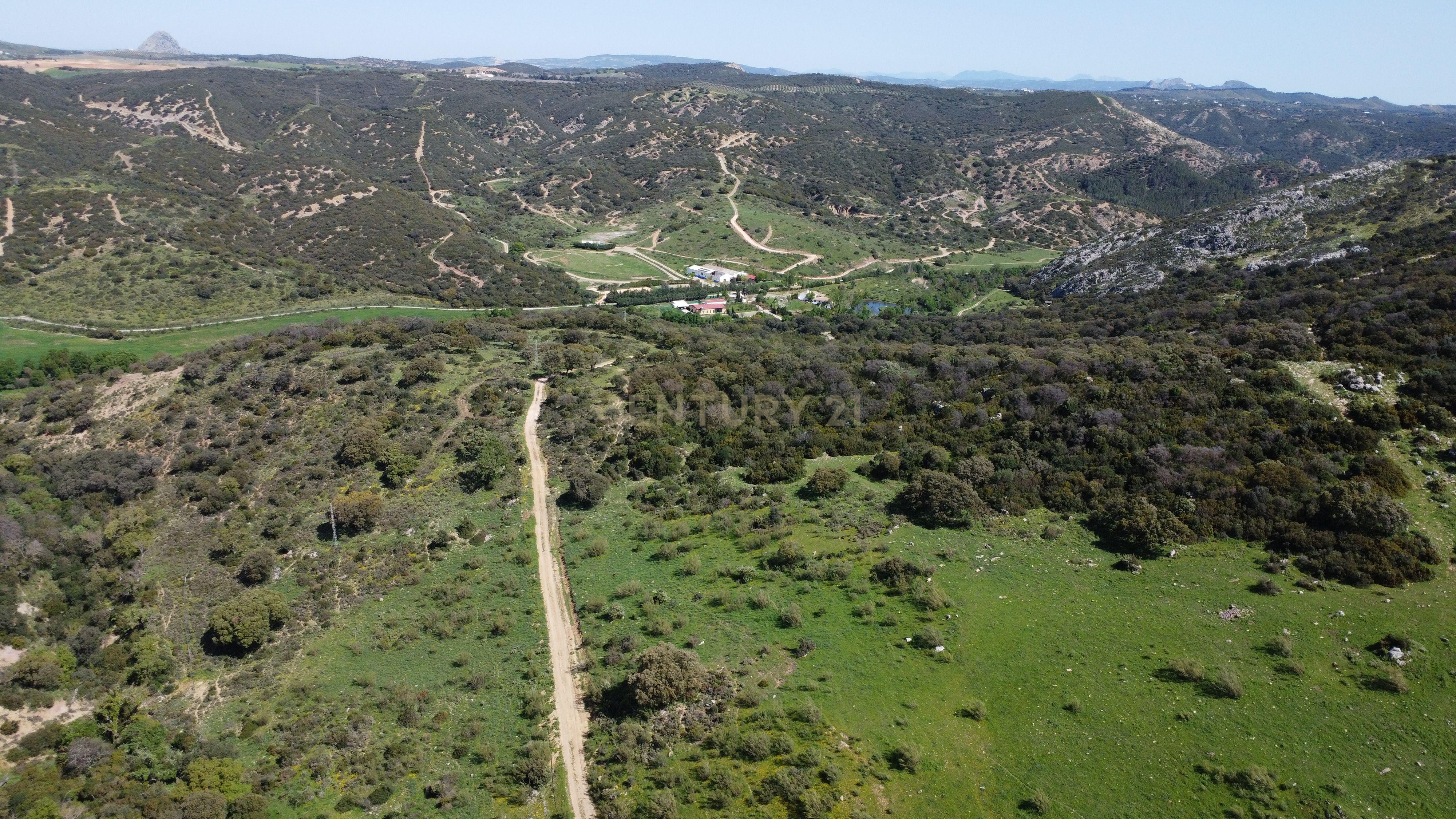 VENDA DE PROPRIEDADE RÚSTICA EM ANTEQUERA COM EXPLORAÇÃO DE AGROTURISMO - Image 2