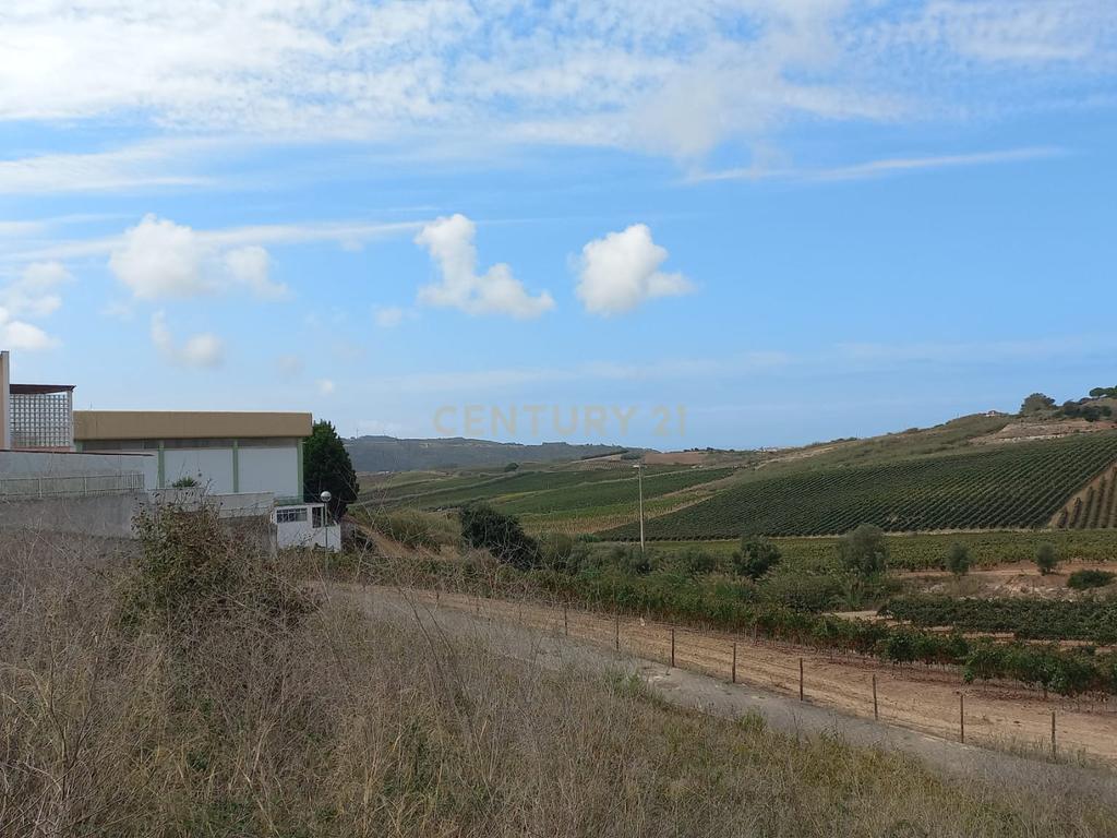 LOTE 481m2 C/ PROJECTO APROVADO PARA MORADIA ISOLADA UNIFAMILIAR COM PISCINA E JARDIM - Image 17