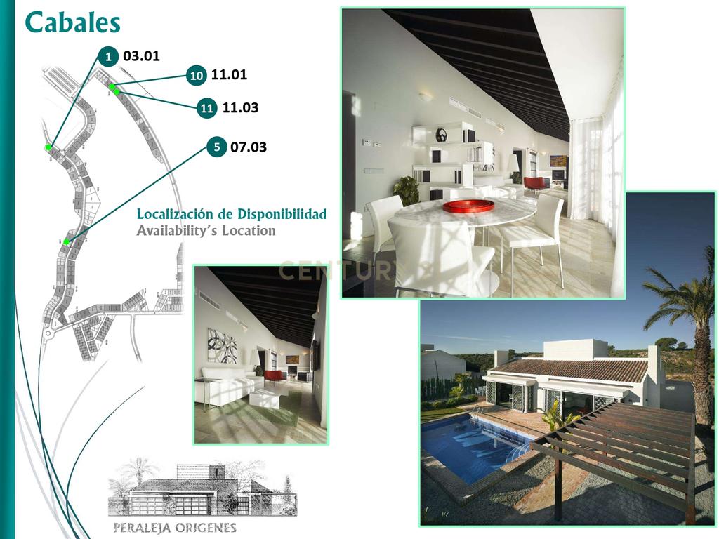  - Image 7