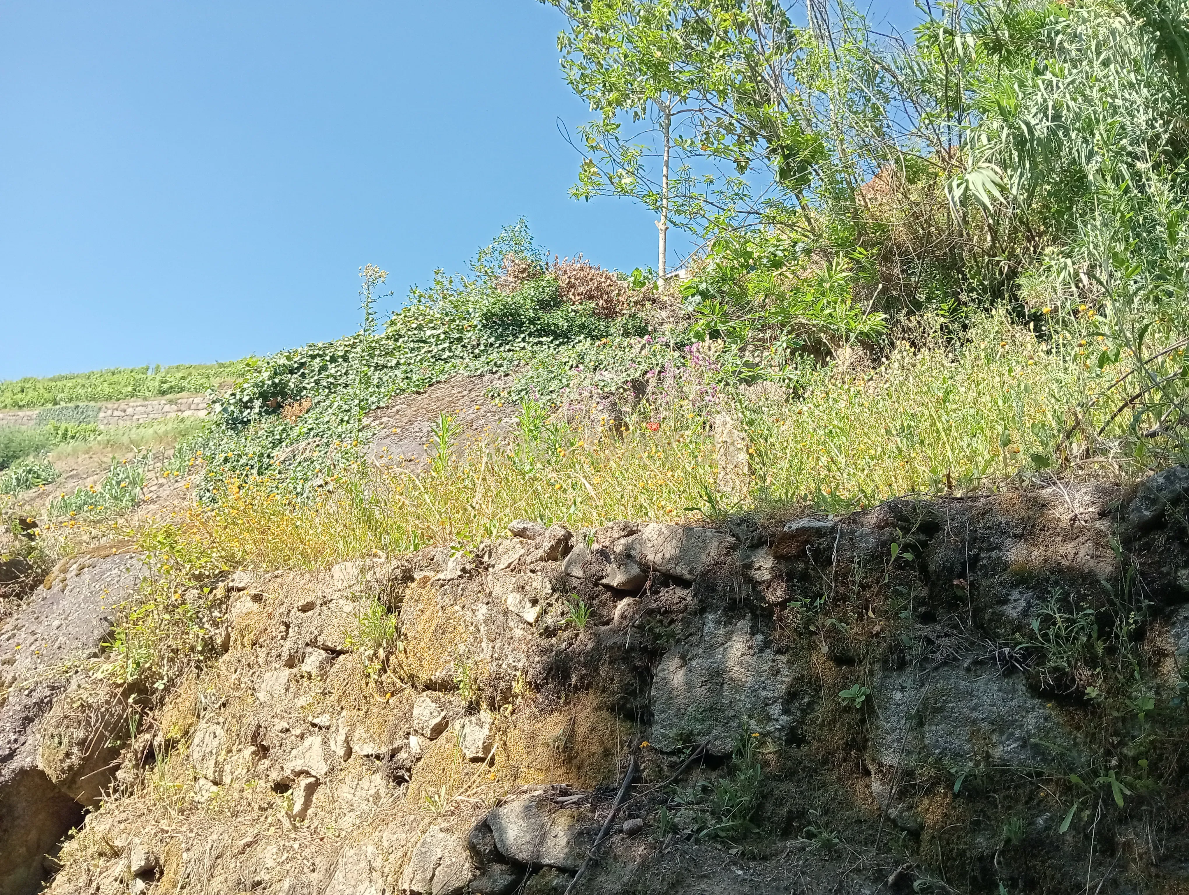 Moradia T2 à venda em Frende, Baião — foto 30