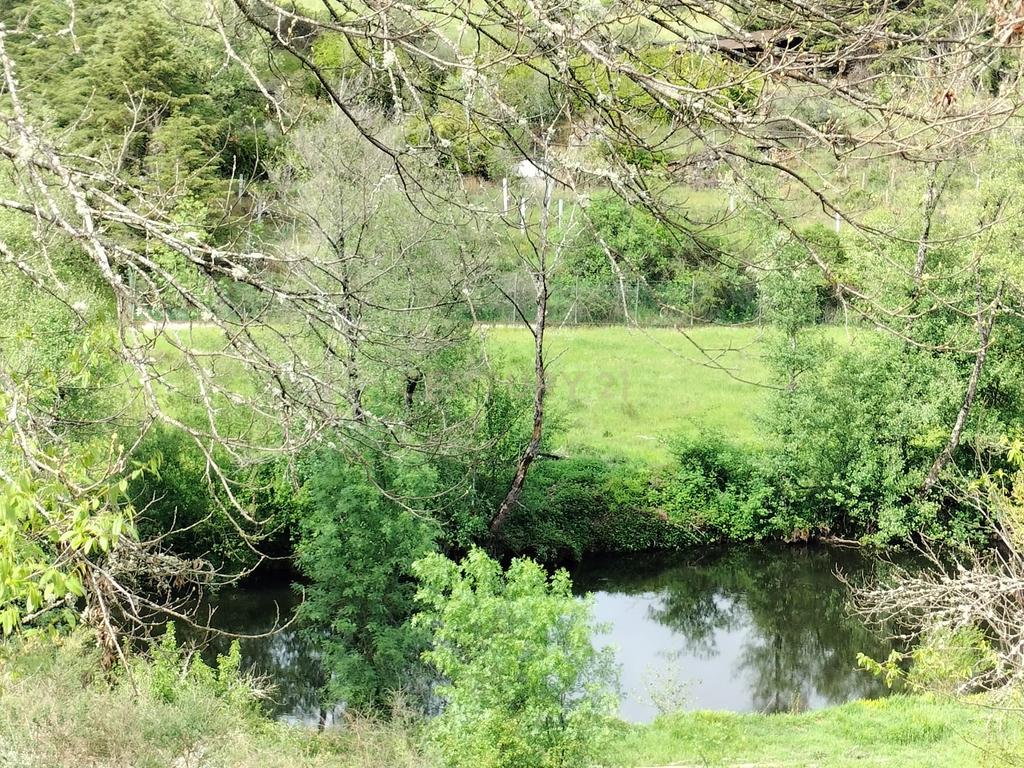 Terreno de 4.500 m² em Meixedo, Bragança — uma oportunidade para um projeto de ecoturismo e turismo de natureza - Image 3