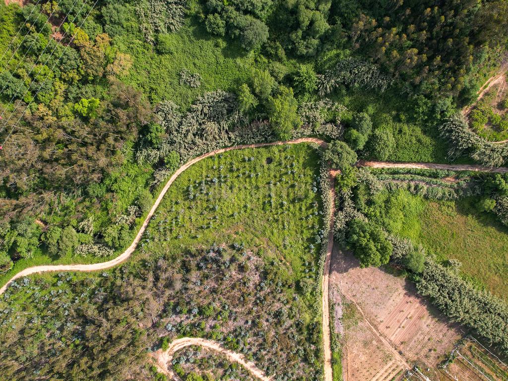 Terreno Rústico com mais de 1.5 Hectares em Mafra – Vista Linda e Perto da Ericeira! - Image 9