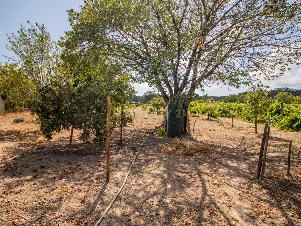 Casa Senhorial Centenária - Image 45