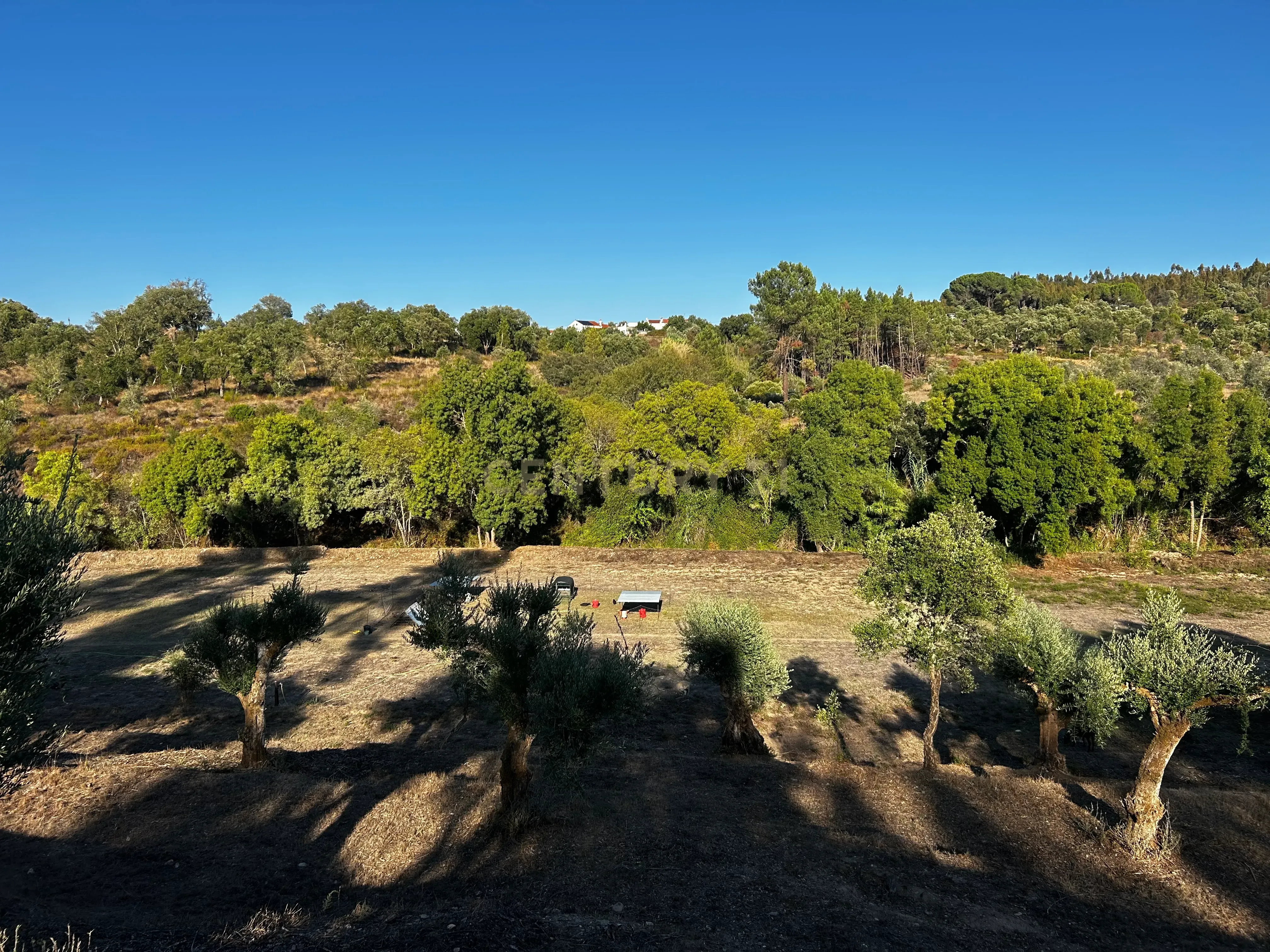 Fotografia 10 de Quinta c/2,5 hectares , casa pré fabricada e ruína para reconstrução.