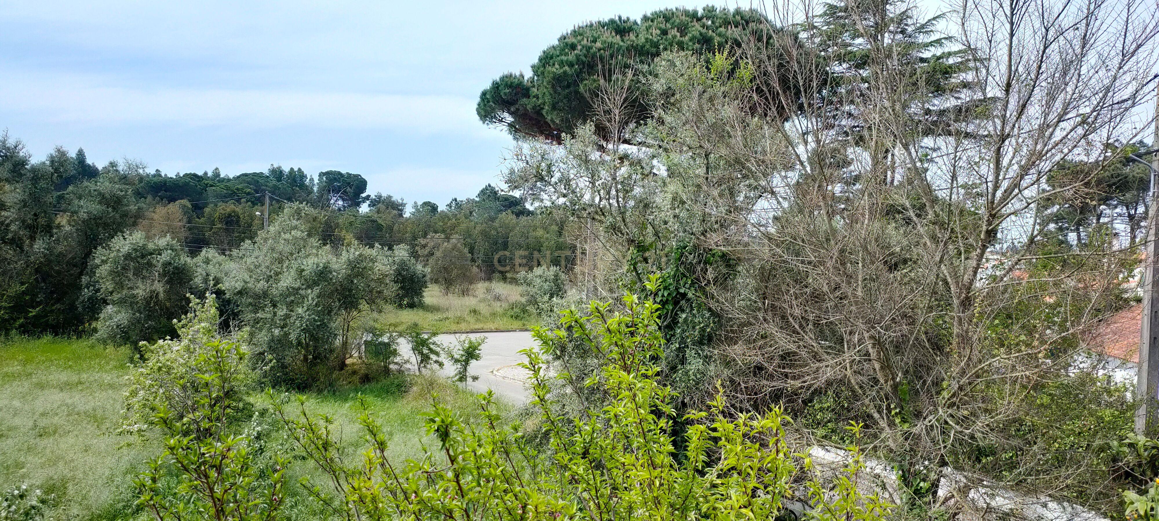 Moradia T4 à venda em Sesimbra (Castelo), Sesimbra — foto 22