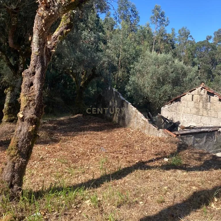 Moradia para reconstrução em Lardosa, Soalhães - Image 10