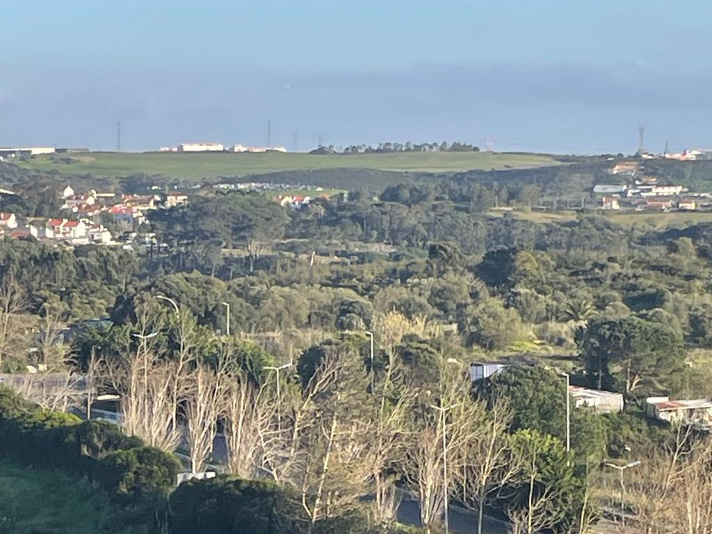 Oportunidade de Investimento em Rio de Mouro – Cabeça Gorda / Anafais - Image 12