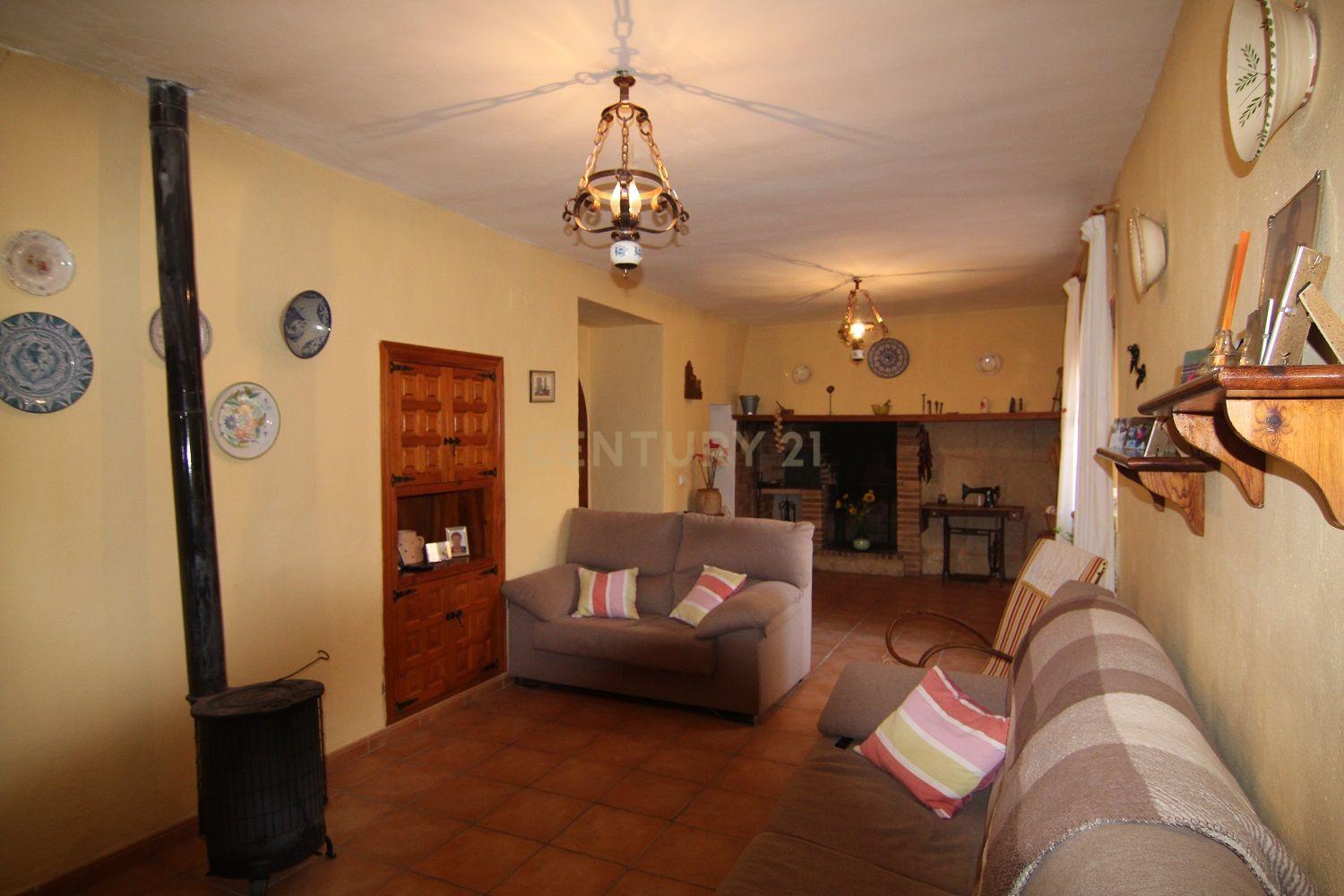 undefined - Image 13