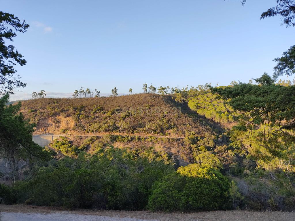 Terreno de 23 Hectares, junto à Barragem da Bravura. - Image 3