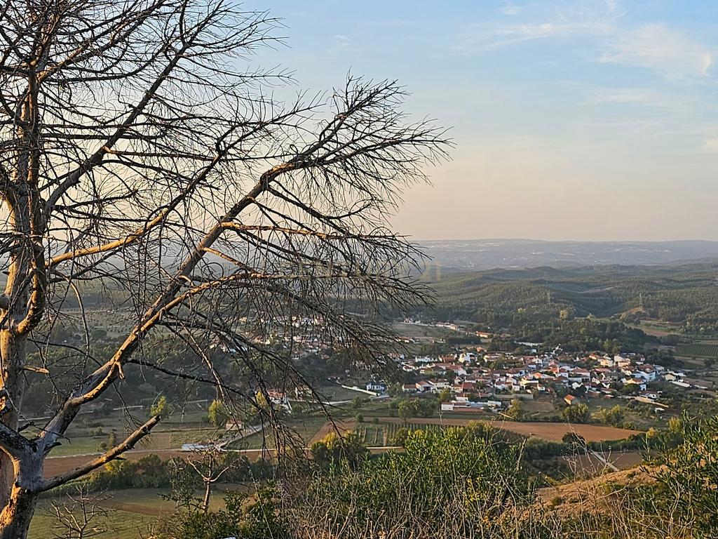 Terreno rústico de 19.720,00 m2 em Abitureiras para vinha e Olival - Image 2