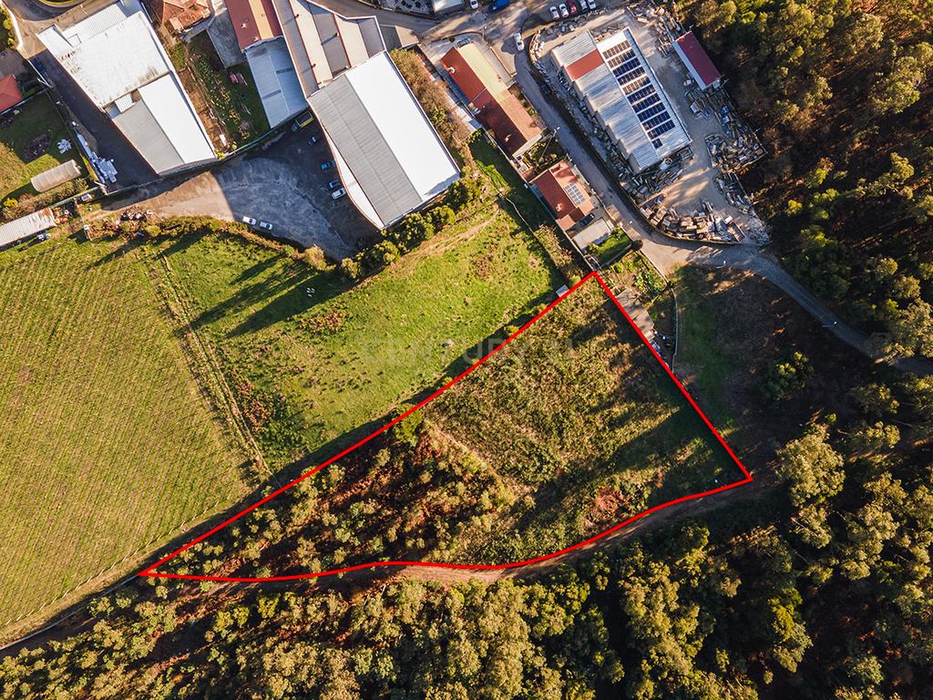Excelente investimento, terreno rústico em Paços de Ferreira - Image 2