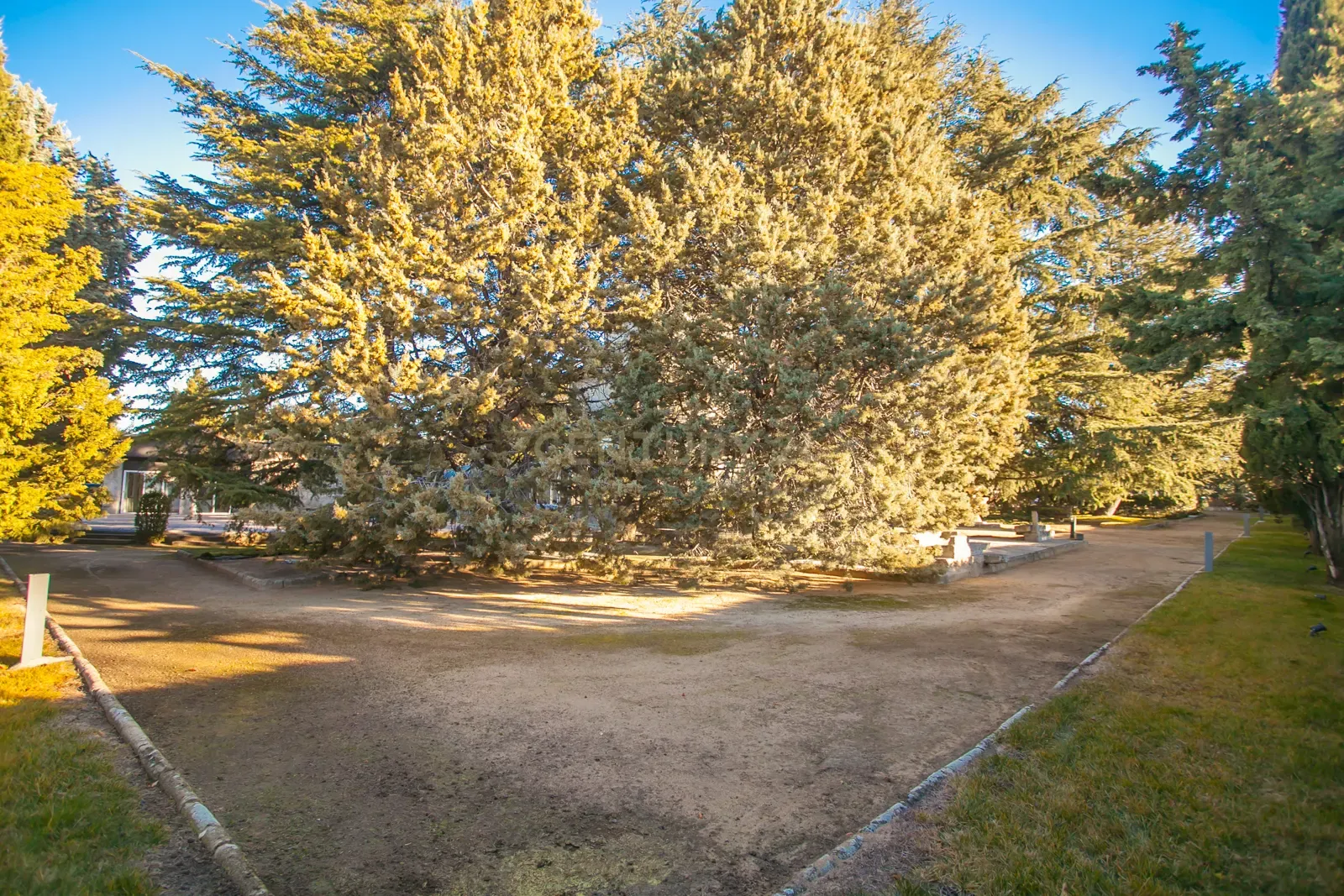 undefined - Image 15