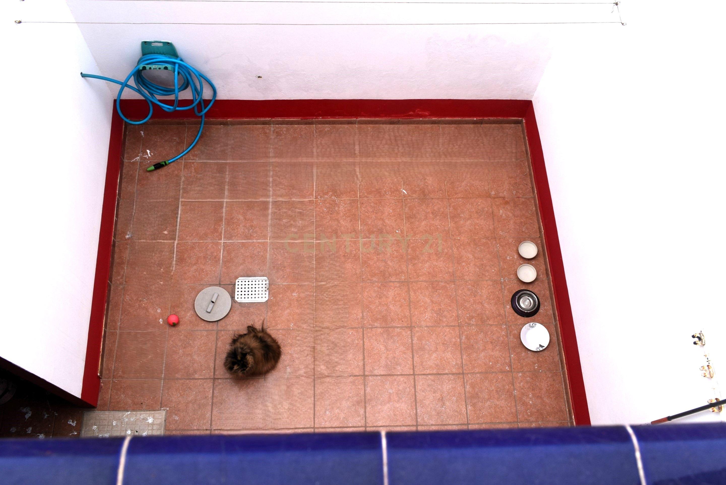 undefined - Image 41