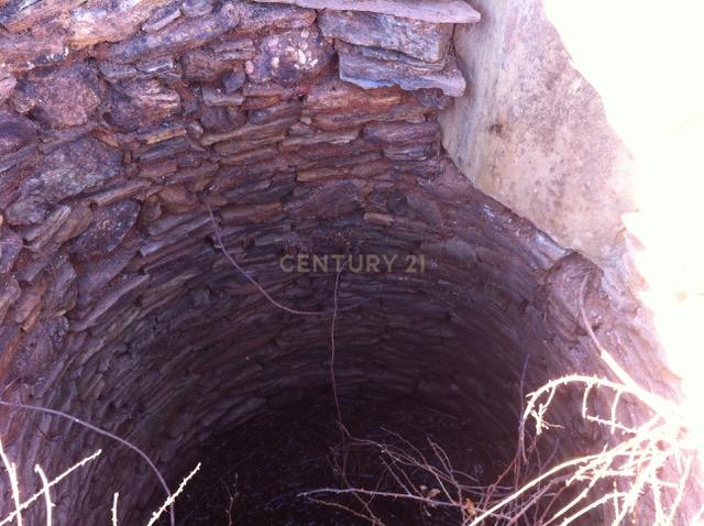 Herdade da Afeiteira - Image 5