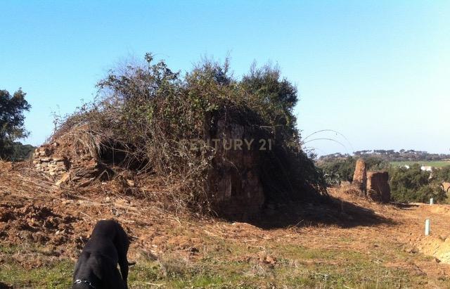 Herdade da Afeiteira - Image 2