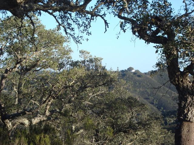 Herdade da Afeiteira - Image 3