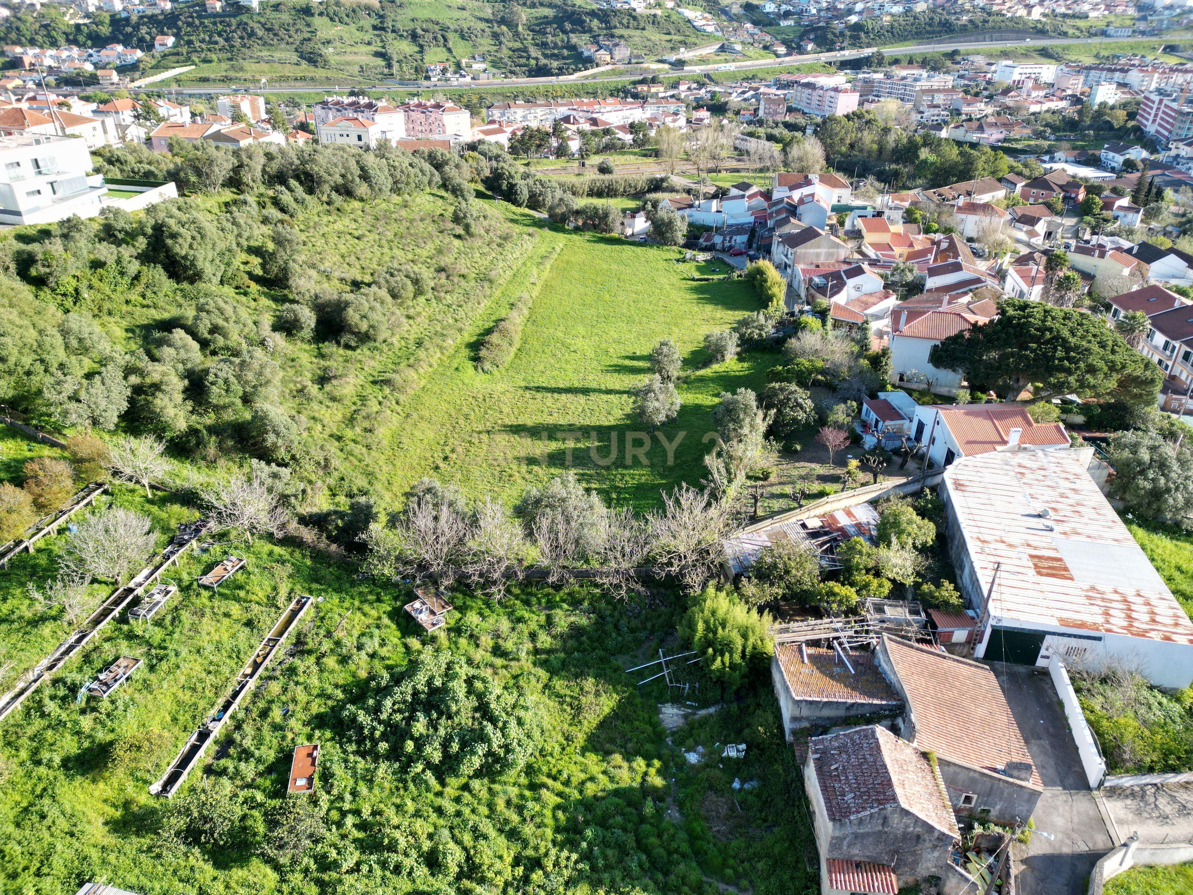 Terreno rústico - Caneças - Odivelas - Image 10
