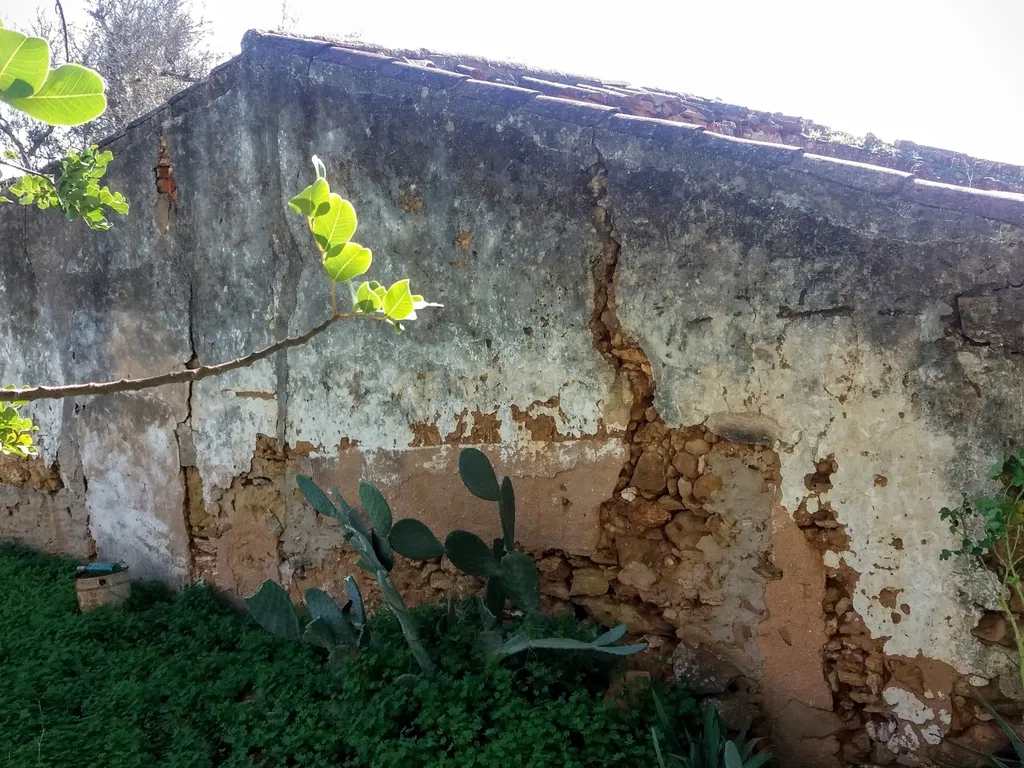 Terreno com Ruína em Moncarapacho - Image 4