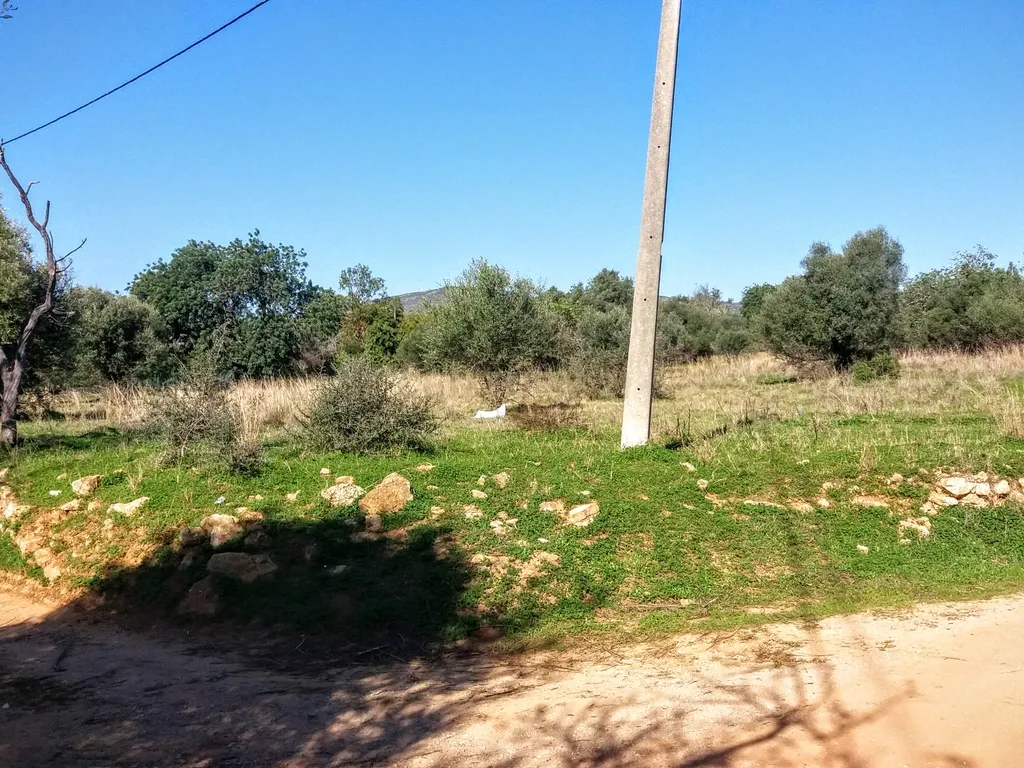 Terreno com Ruína em Moncarapacho - Image 10