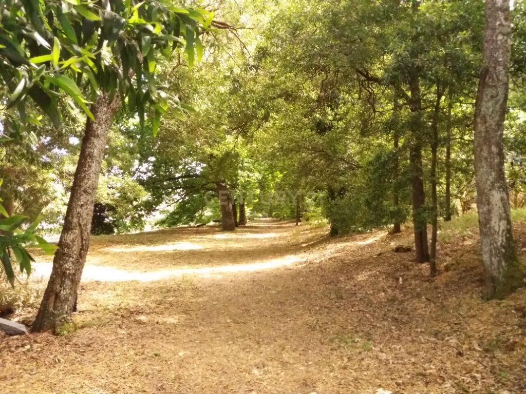 Histórico Solar do Sec. XVII ( Quinta da Capela) - Image 12