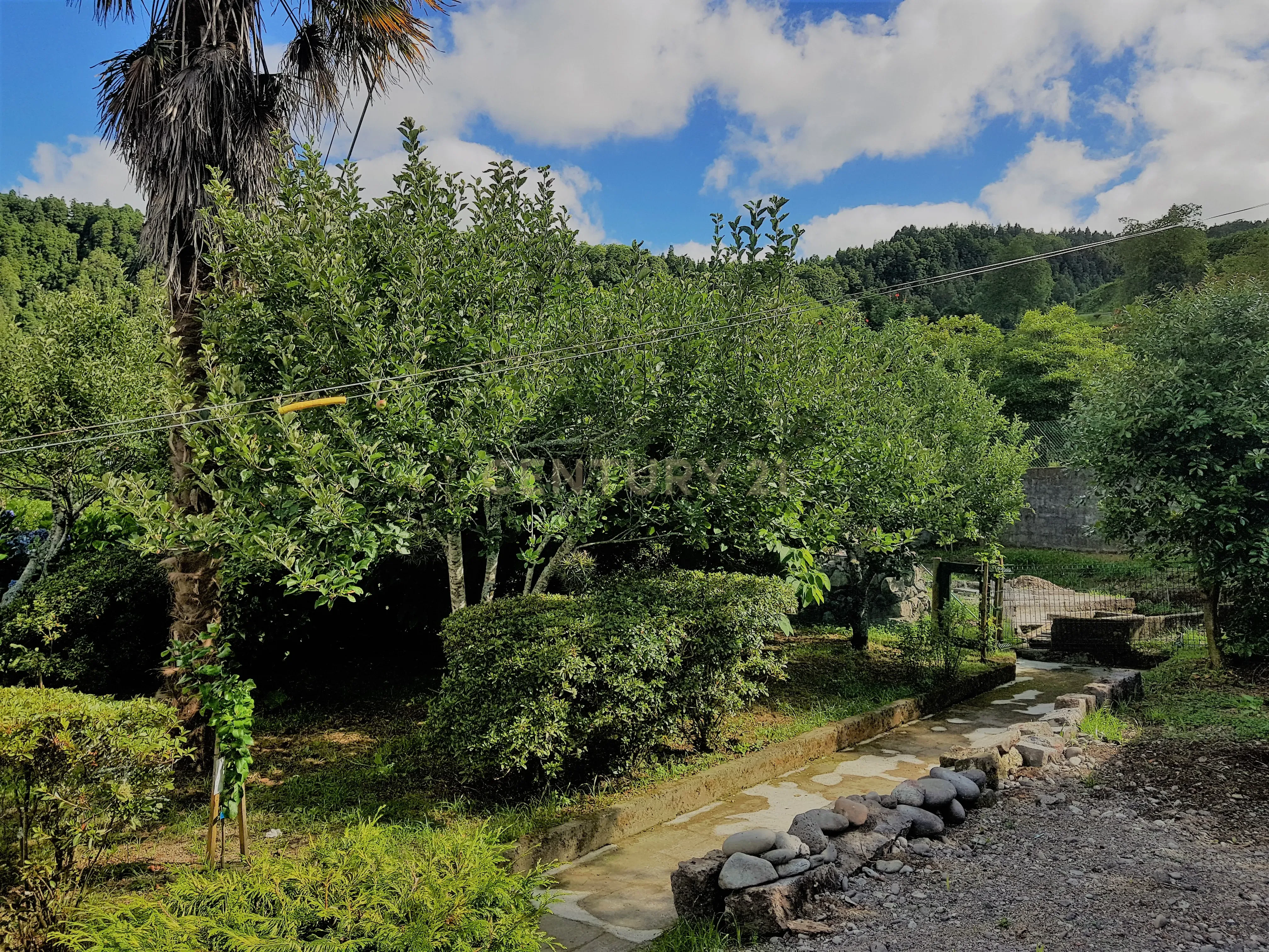 Propriedades únicas no encantador Vale da Furnas - Melhor destino turístico dos Açores - Image 10